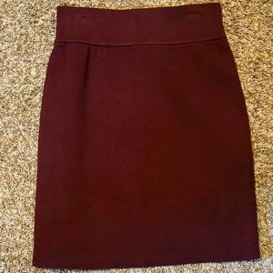 Express Skirt